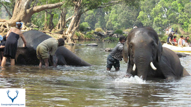 coorg holiday packages 1